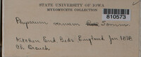 Image Associated With the Occurrence